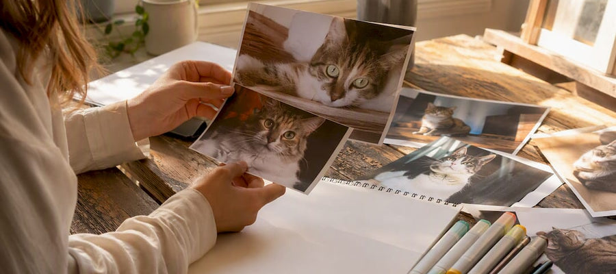 Hände, die Katzenfotos für eine Karikatur sortieren